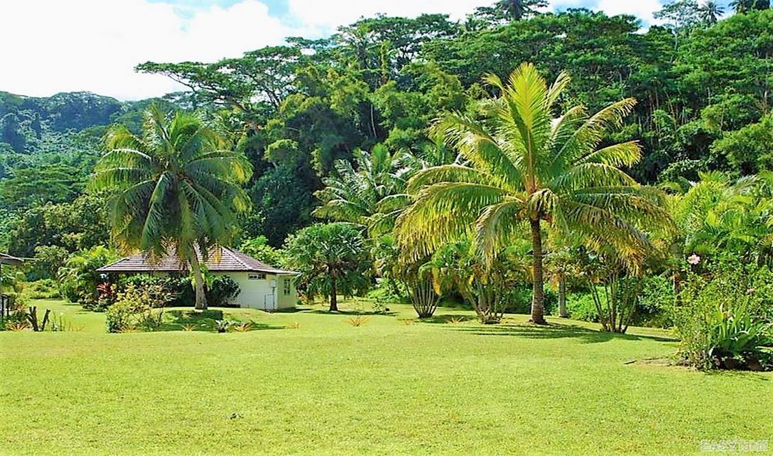 Pension Titaina photo 2